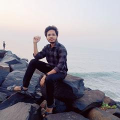 Lalitha Praveen Gowrabatthuni