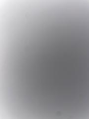 Vebjørn Styve Staalesen