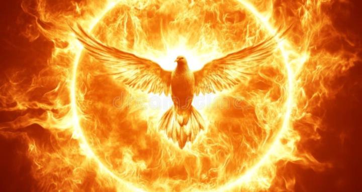 Seeking After the Lion's Heart