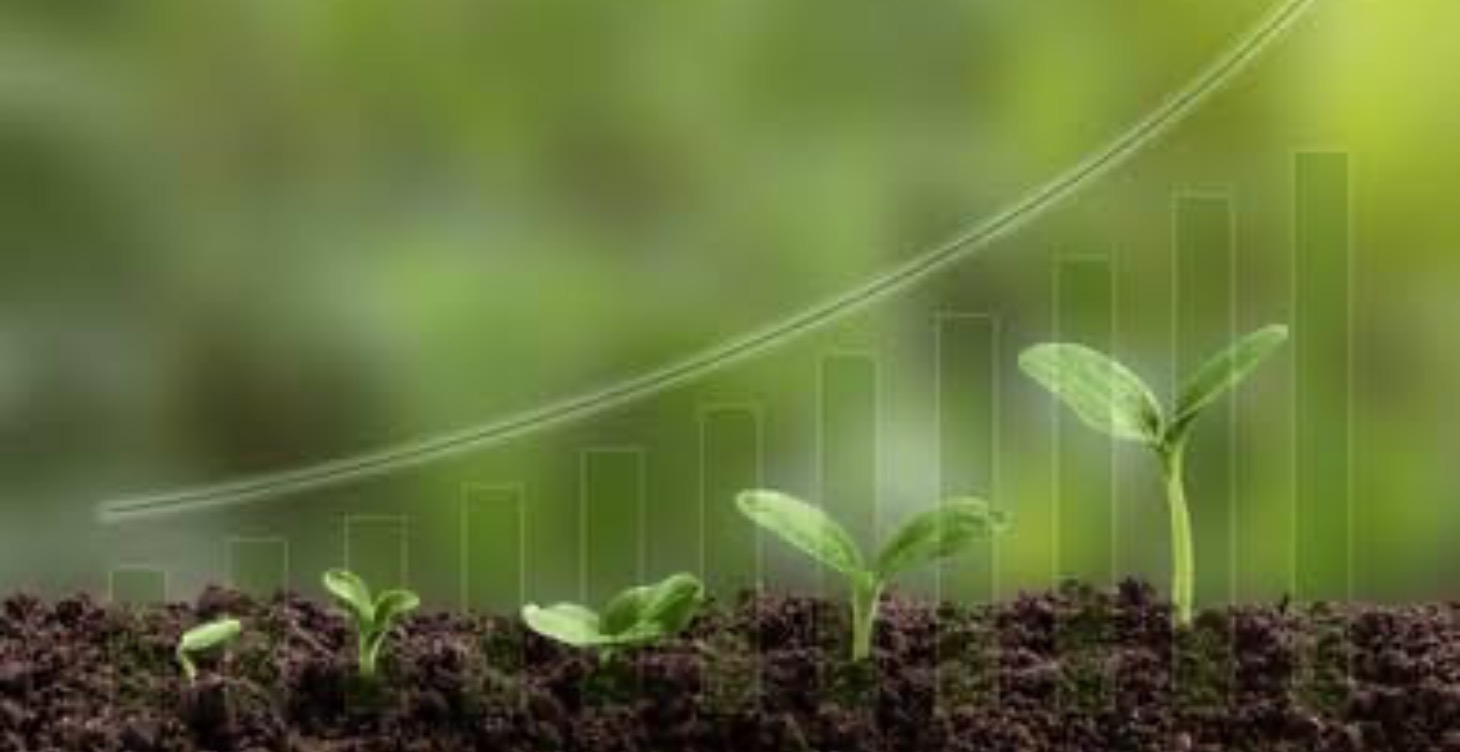 Grow Daily - Small Steps to Big Things