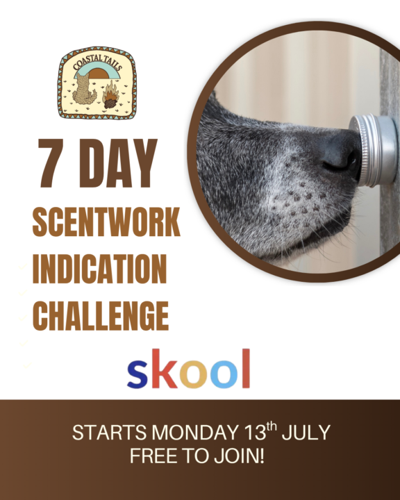 Next Challenge! 🥳