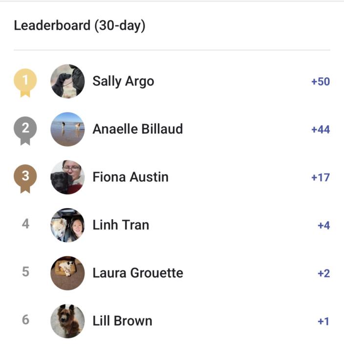 Leaderboard Celebration 🥳 