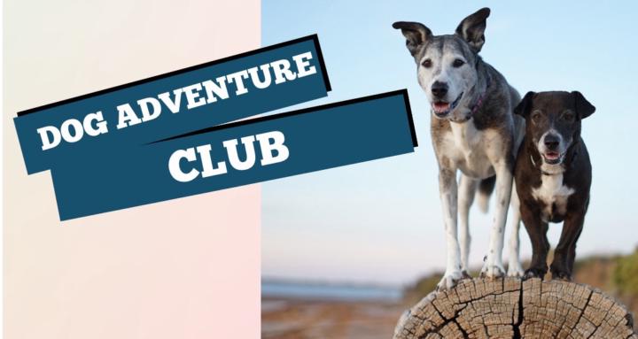 Dog Adventure Club 