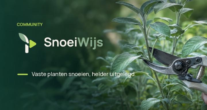 Snoeiwijs