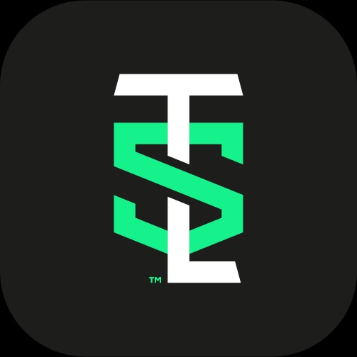 Swingtradinglab Llc