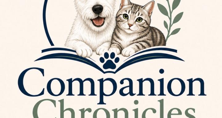 Companion Chronicles