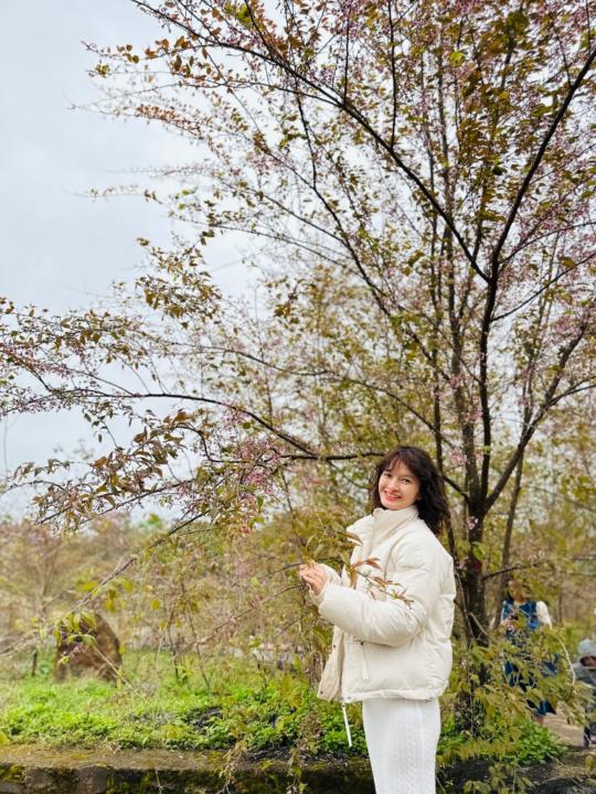 Quỳnh Như Lê Phan