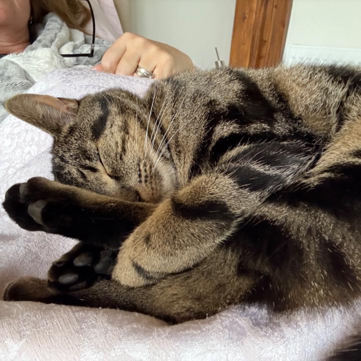 Penelope Kimpton-Brown