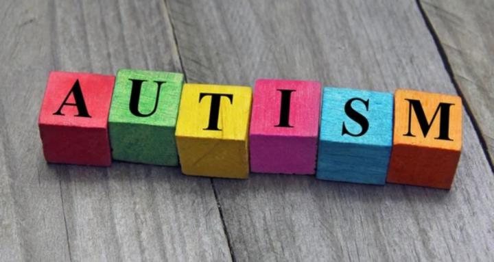 Autism Inclusion Training