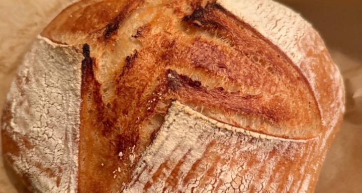 Starter to Loaf Skool