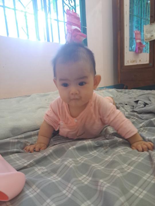 Vi Tường