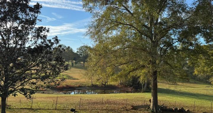 Large Family Homesteading