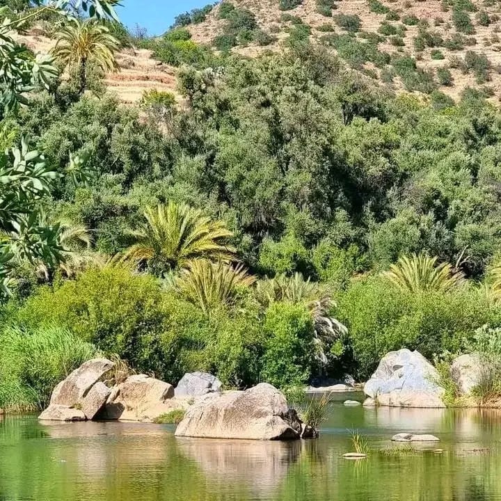 Souaad Batanba