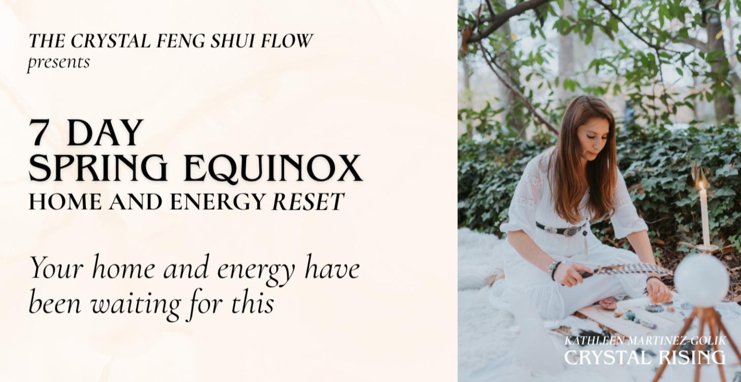 7 Day Home and Energy Reset