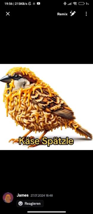 Schlinus Schleichert