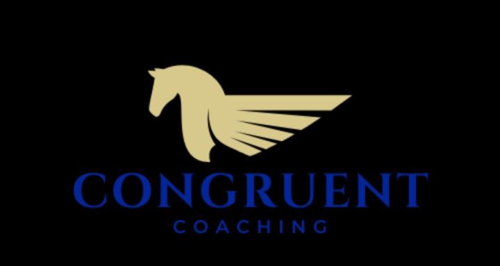 Nonprofit Career Accelerator