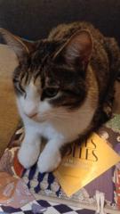 Marjorie Bourgeois Boulanger