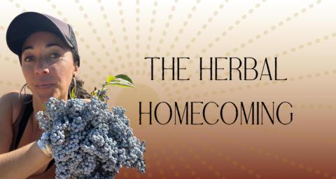 The Herbal Homecoming gallery image