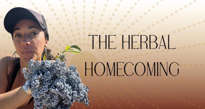 The Herbal Homecoming