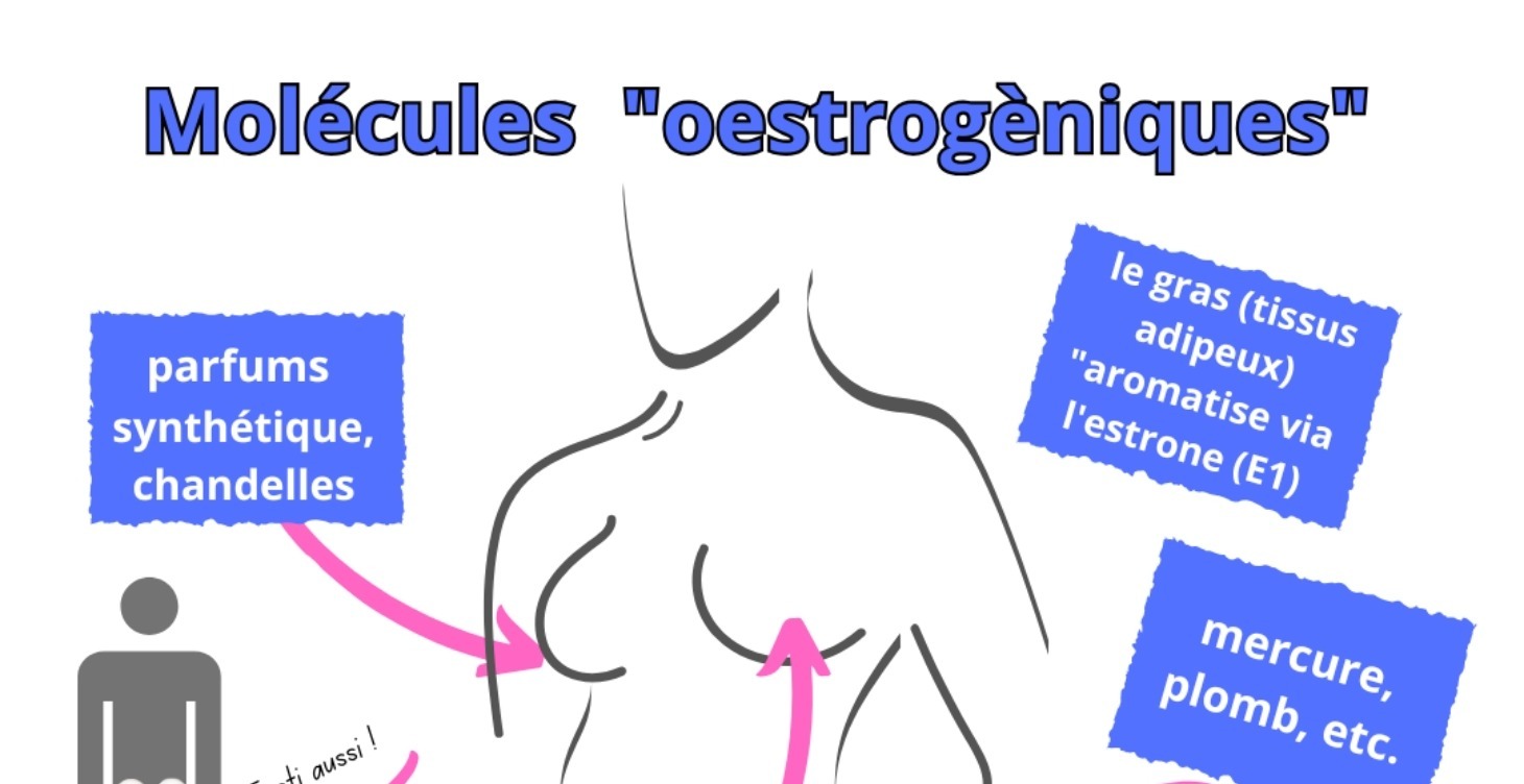 LA ROUE HORMONALE : Thyroide-Foie-Intestin
