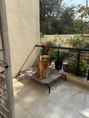 Pranav Patil