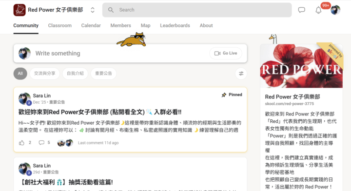 想要有隻貓陪妳嗎？在Skool 搜尋列打上『 let there be cat 』就可以跟妳的貓見面囉 ! 