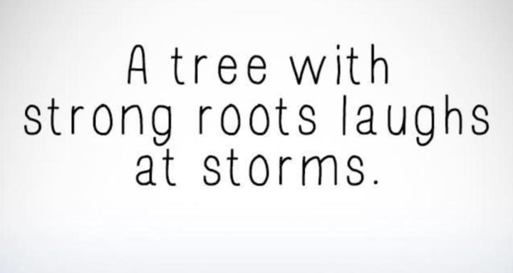 Stronger Roots