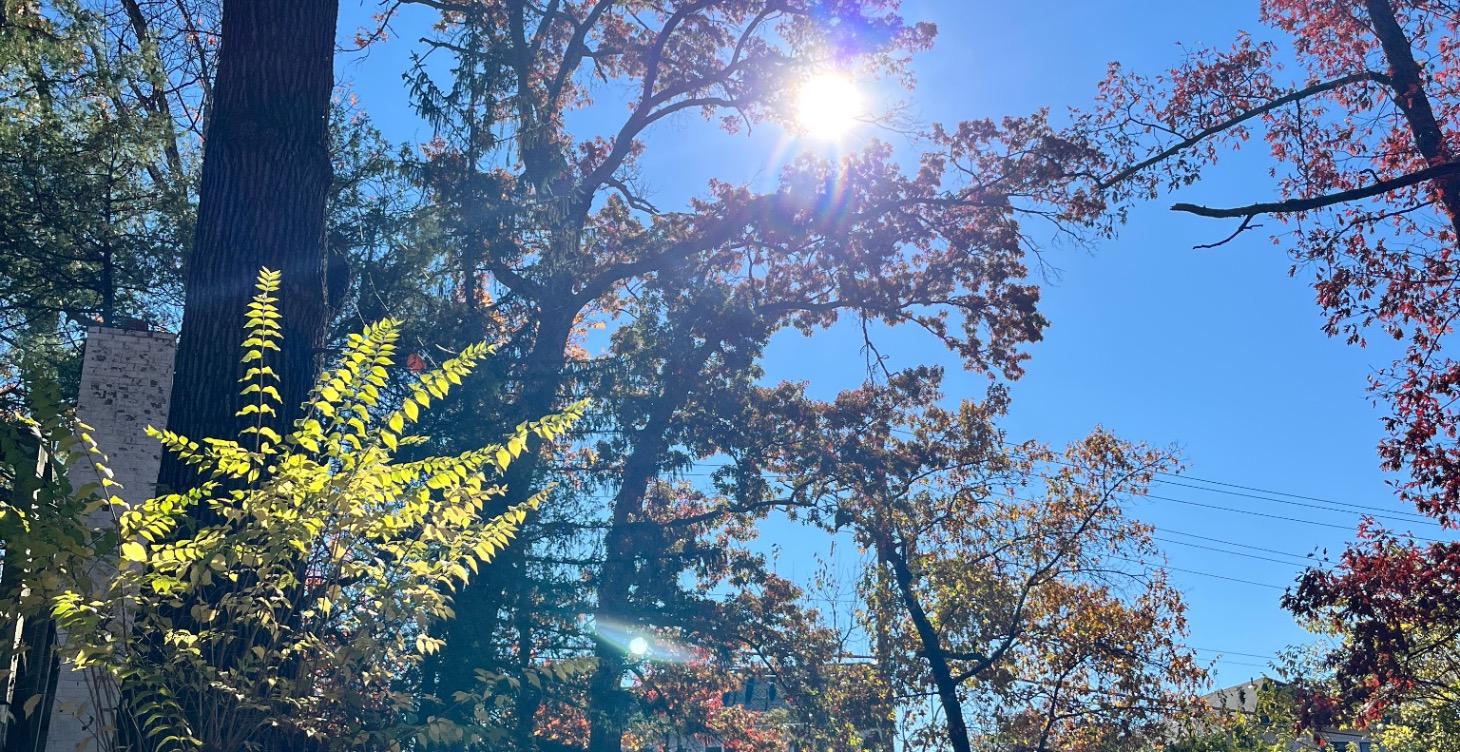 Awakening into the Easton Frequency