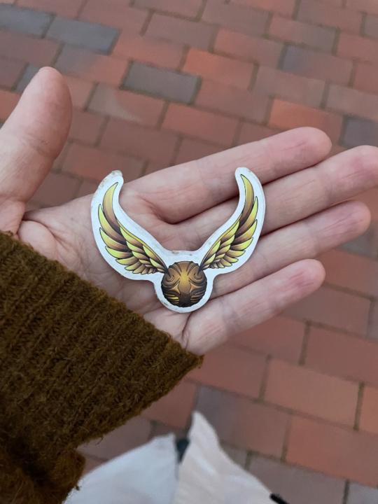 Markéta Volečková