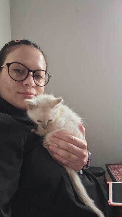 Katze Moss