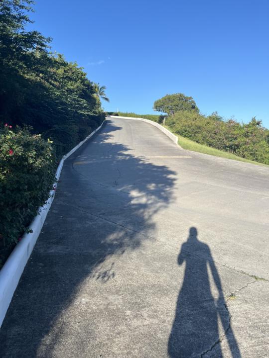 Just getting started, looking for my community!