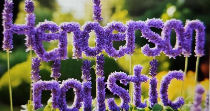 Henderson Holistic