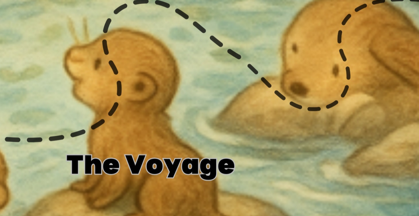 🦦The Voyage