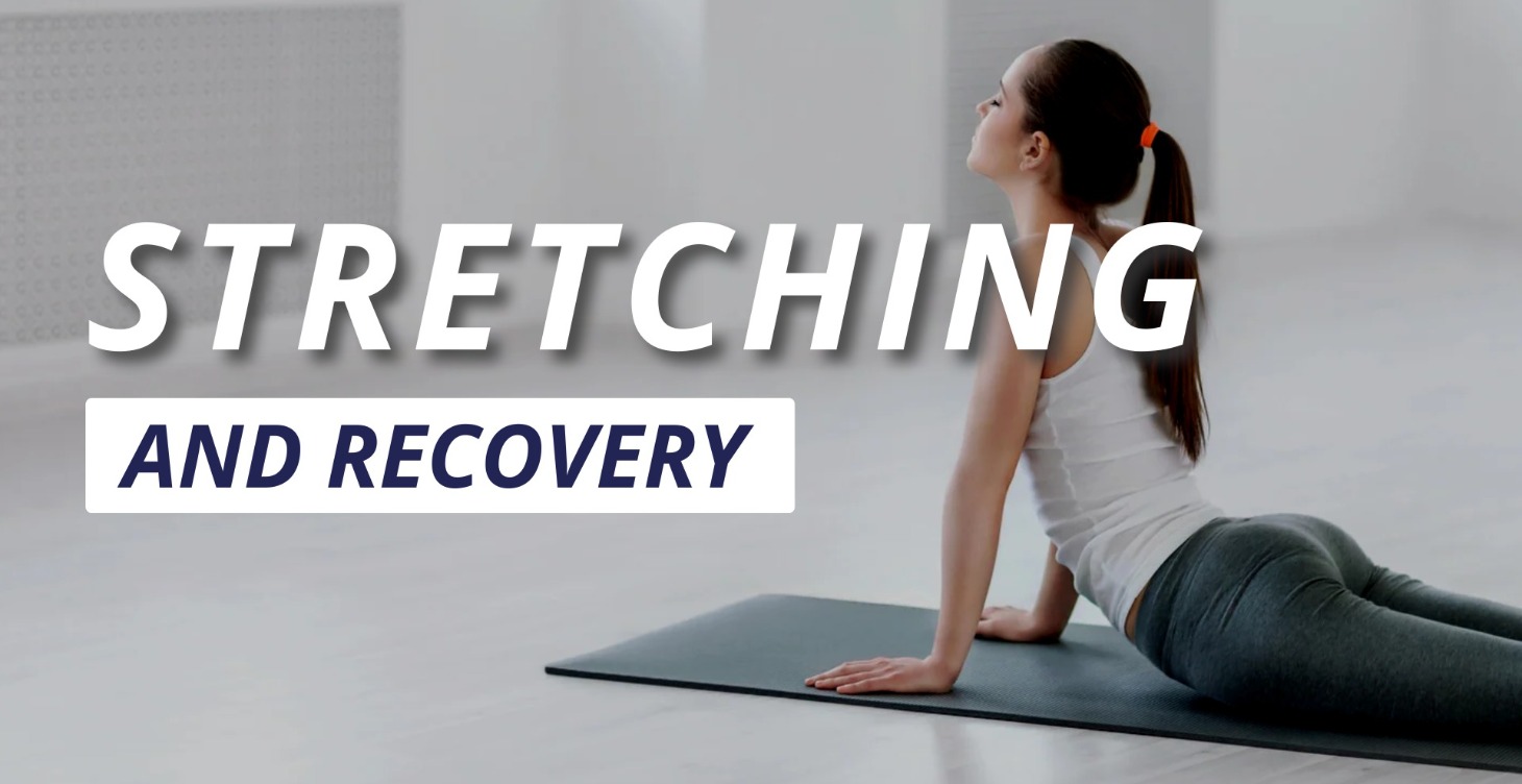 Stretching and Recovery Guide