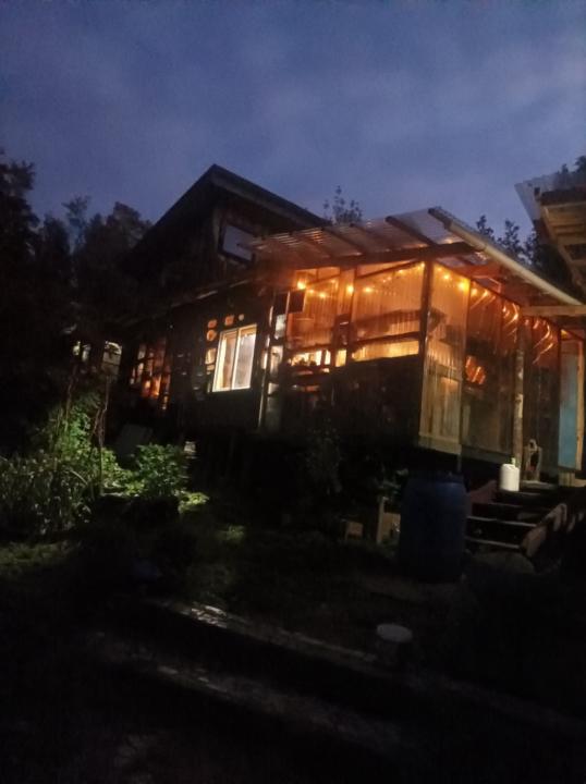 Alejandra Henríquez