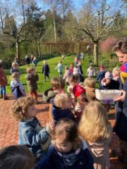 Ajewole Version zero