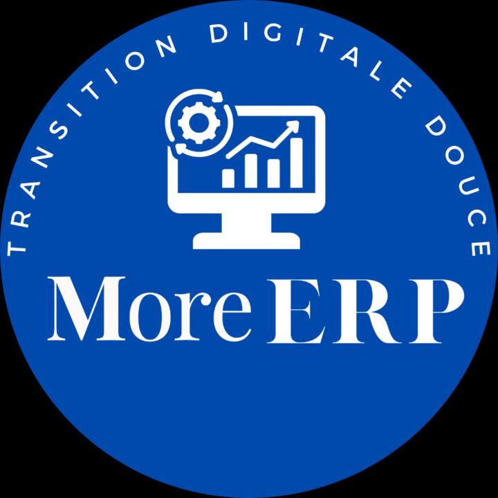 More Erp