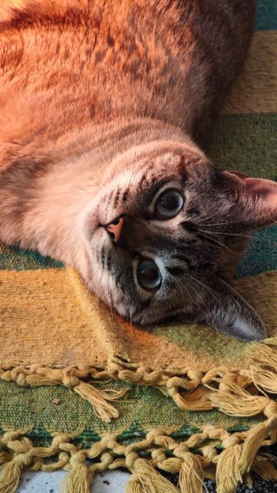 Yolanda Ruiz Redondo