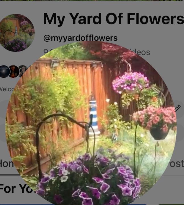 My Yard Of Flowers Garden Channel