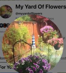 My Yard Of Flowers Garden Channel