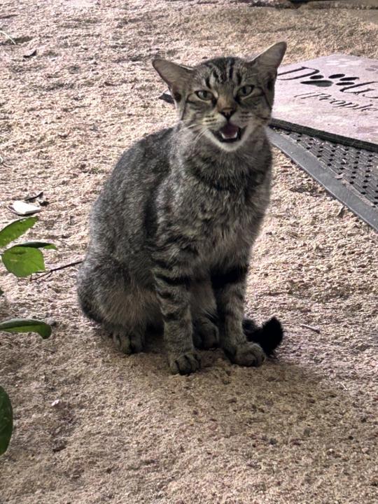 Social Conventions? Pfffft. 