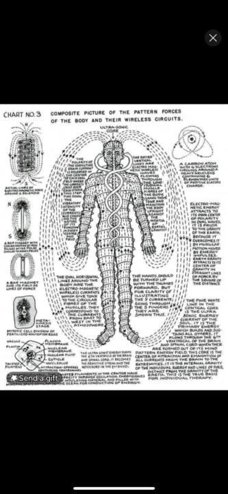 Circulation and flow