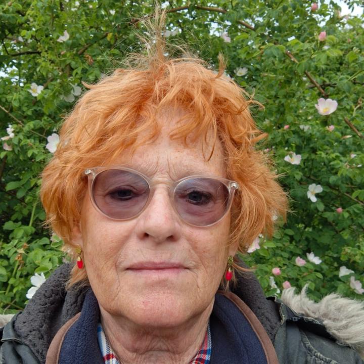 Julia Bridgwater