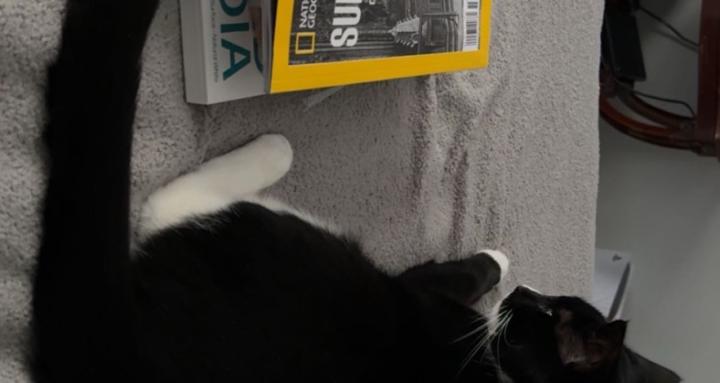 Inhale The Good-Exhale the Bad