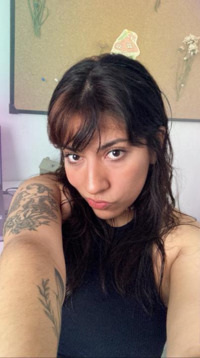 Abril Videla