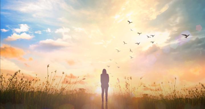 Your Body as a Living Guide