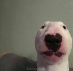 François Hochedé