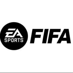 Fifa Hub