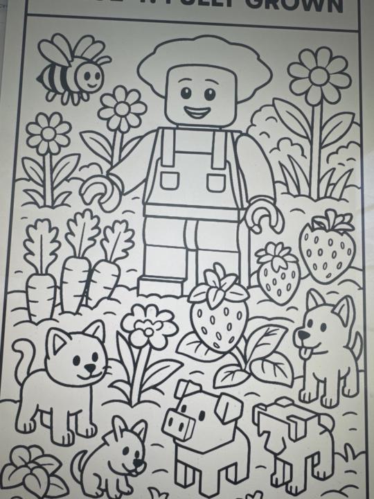 Colouring book frenzy !!