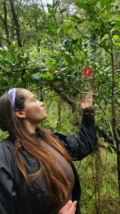 Ariela Luna Rojas